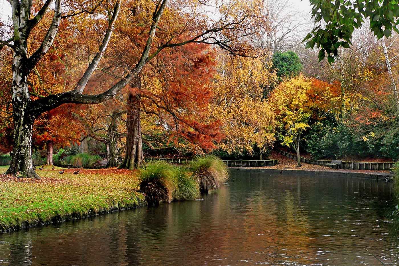 45 Must-See Attractions and Top Things to Do in Christchurch, New Zealand