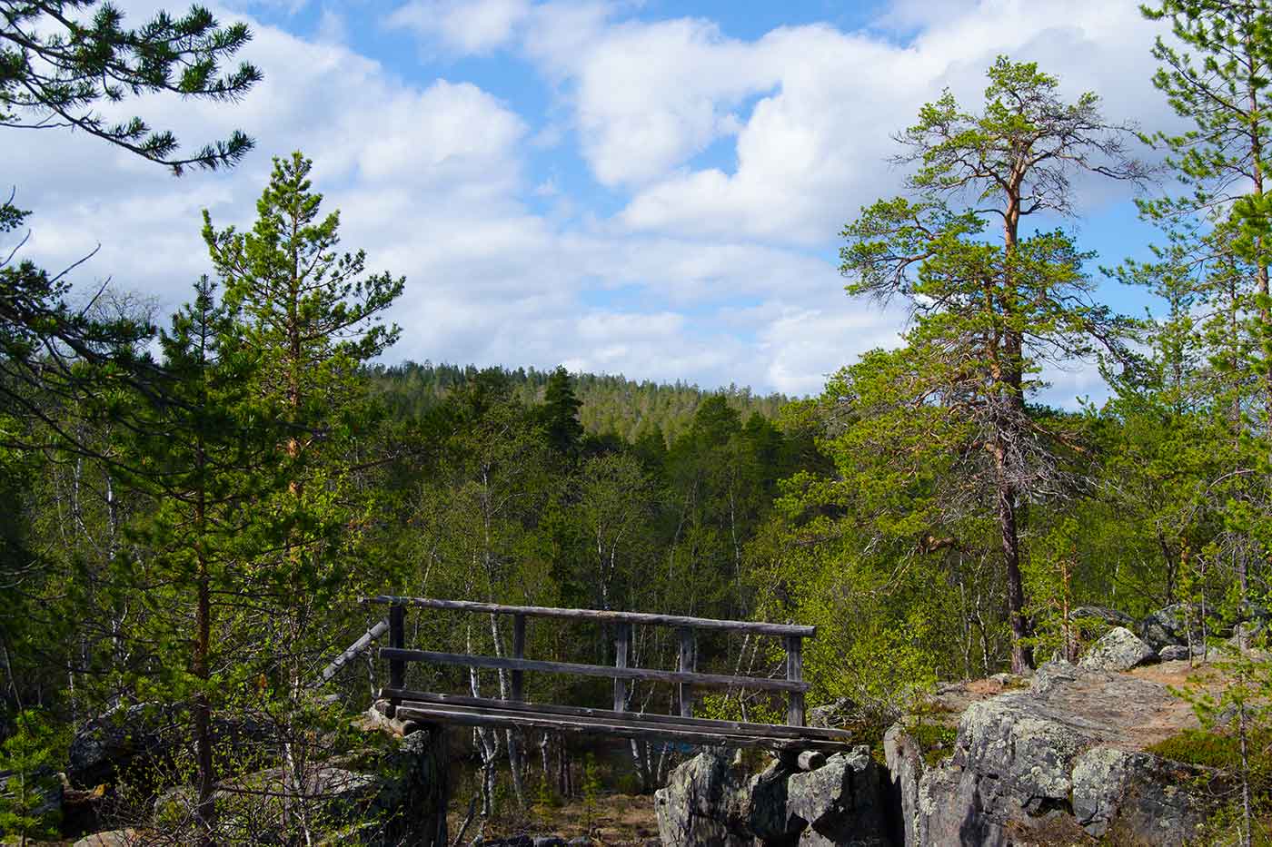12 Incredible Attractions to See and Things to Do in Saariselkä, Finland